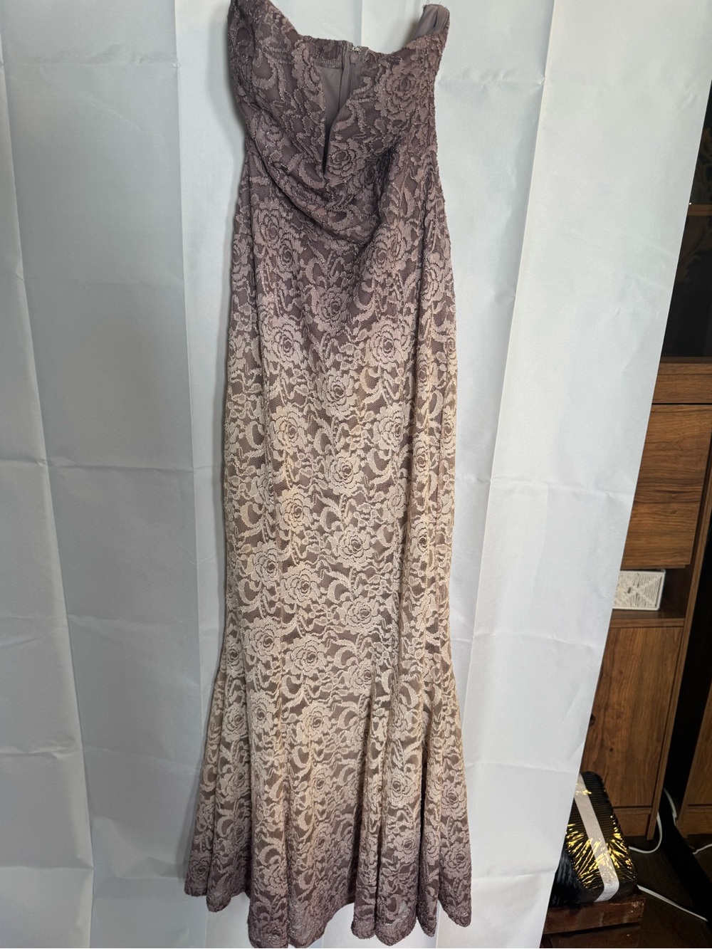 Avenue Strapless Lace Ombre Gown in Mauve and Cream